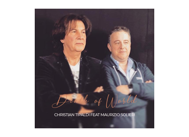 Portfolio picture template