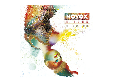 Portfolio picture template