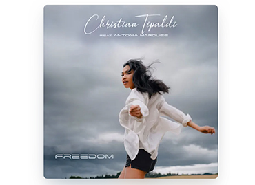 Portfolio picture template