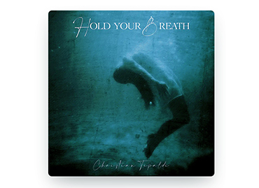 Portfolio picture template